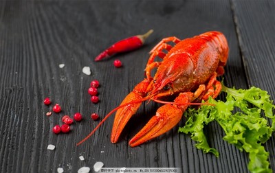 小龙虾高清素材图,海鲜食材麻辣小龙虾特色小龙虾-