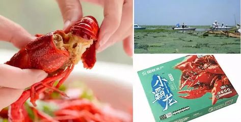【大盘点】安井、国联水产、周黑鸭.揭开小龙虾产销两旺下的资本布局!