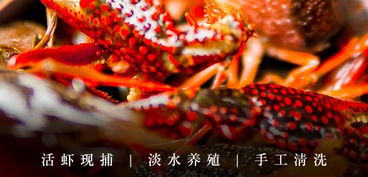 今日福利 香辣小龙虾29.5元起,大闸蟹16元起,让你鲜掉眉毛的好滋味,限时优惠放送 方祁