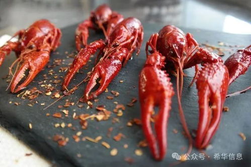 希腊小龙虾瘟疫肆虐专家发警报,捕捞禁令让渔民面临生计危机