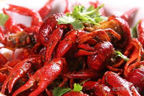 小龙虾 大龙虾做法大全.