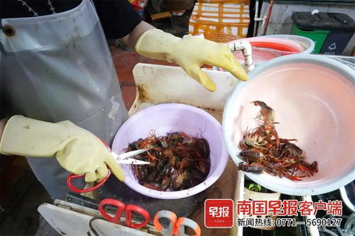 约30元 公斤 正大量上市