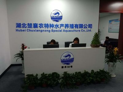 南美白对虾虾苗 淡水基围虾苗种 南美白对虾虾苗厂家