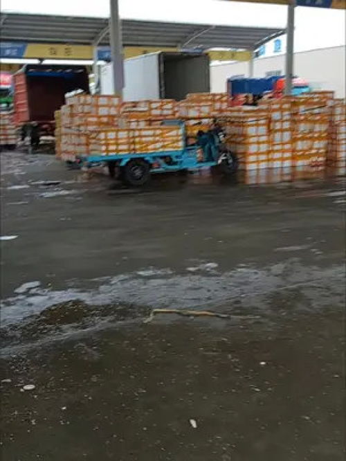 龙虾 小龙虾 龙虾 养殖人加油 水产人 养殖小龙虾 养虾人 水产养殖 小龙虾小龙虾吃起来 养殖
