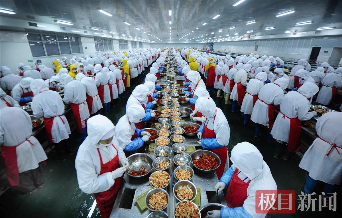 一红一绿 潜江用两块招牌蹚出致富路