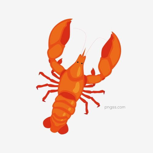 红色卡通大龙虾插画 美食与装饰的完美结合